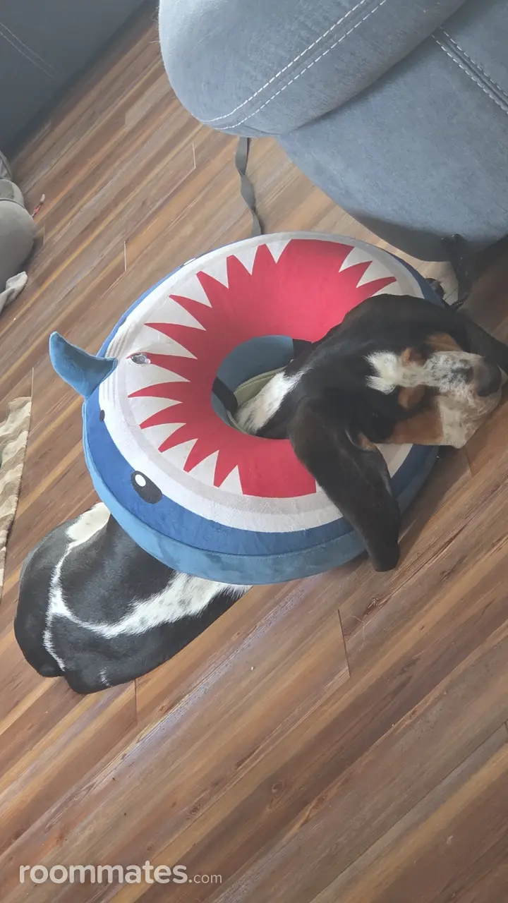 Profile photo 3 of 3