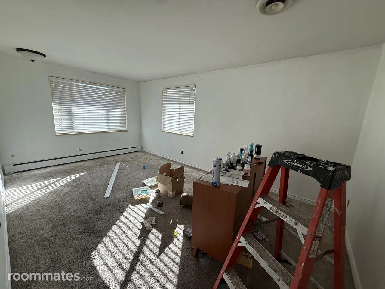 Profile photo 14 of 16