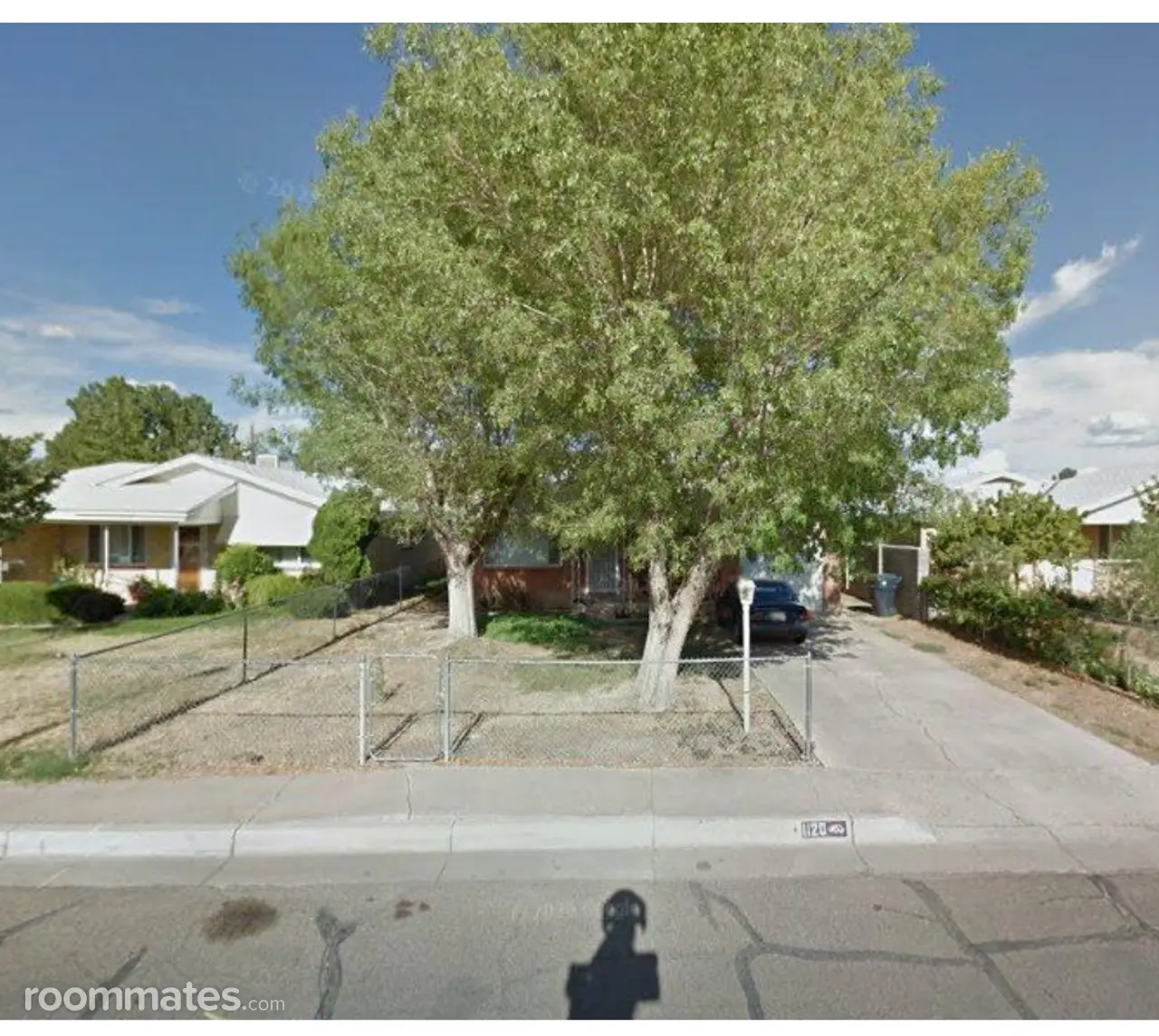 Profile photo 1 of 11