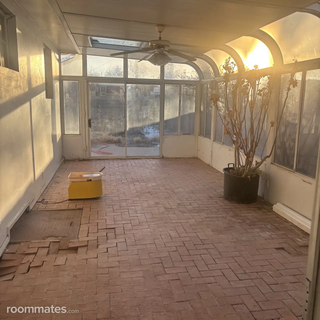 Profile photo 9 of 11