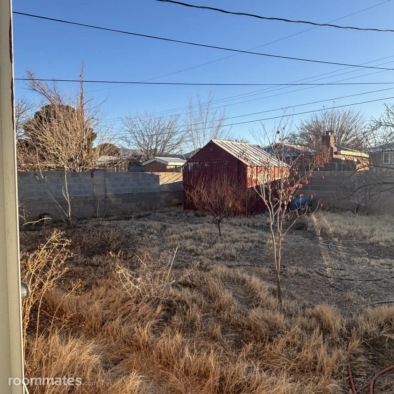 Profile photo 8 of 11