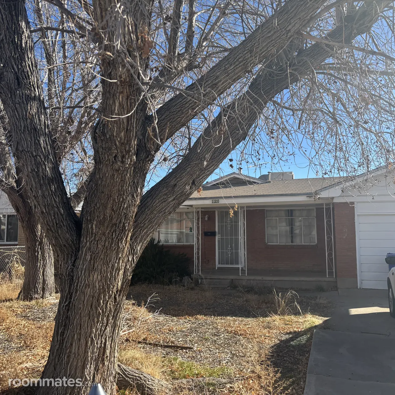 Profile photo 2 of 11