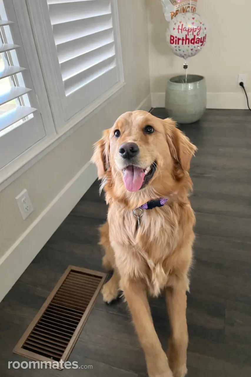 Profile photo 8 of 9