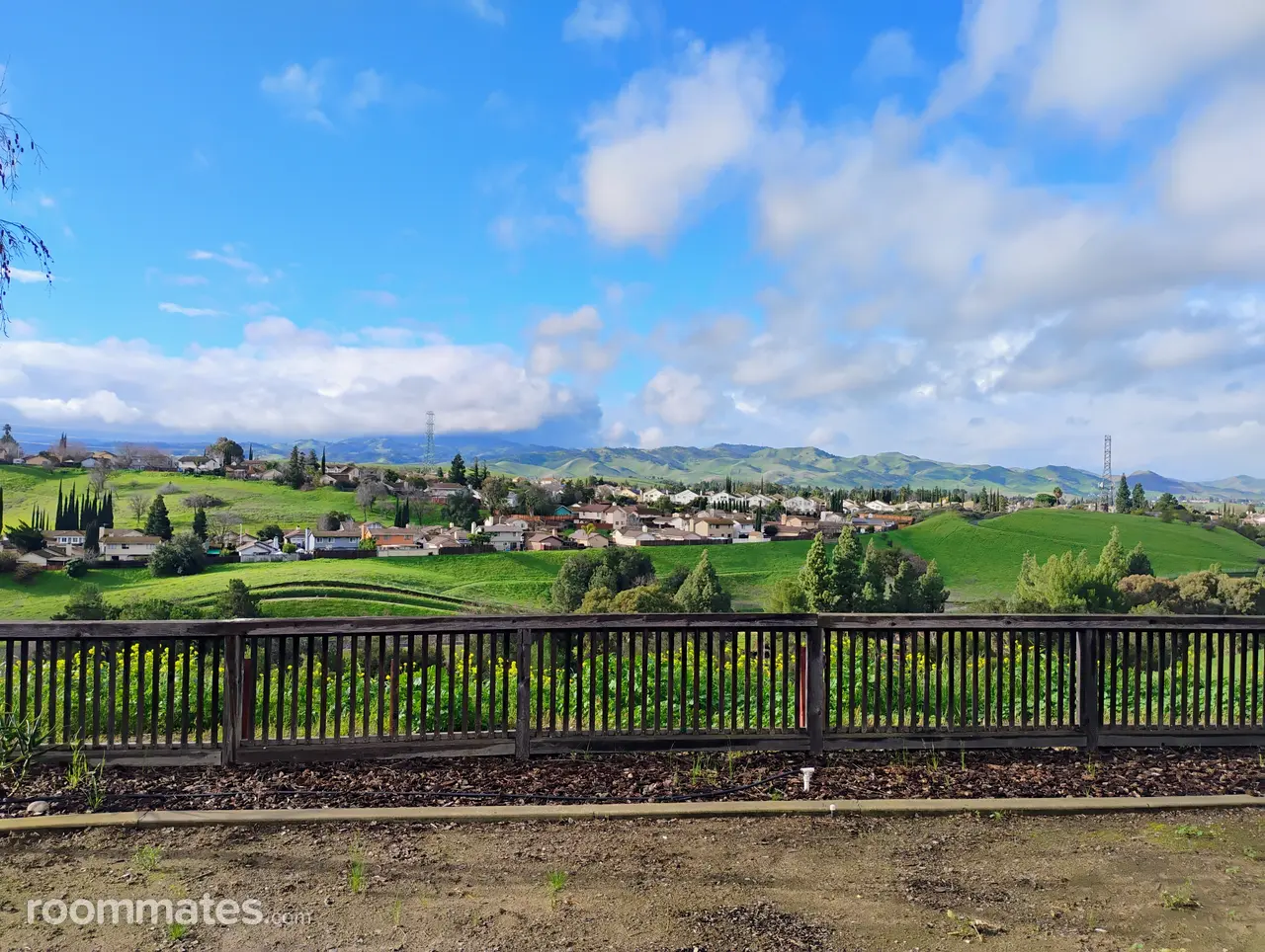 Profile photo 1 of 4