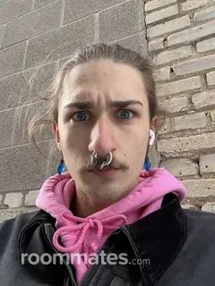 Roommate looking Madison, WI, $800