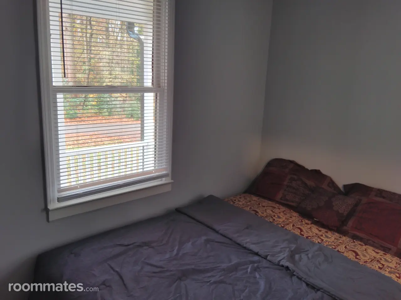 Profile photo 2 of 11