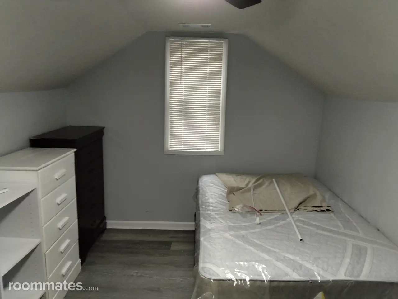 Profile photo 6 of 11