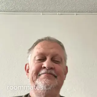 Roommate looking Reno, NV, $800