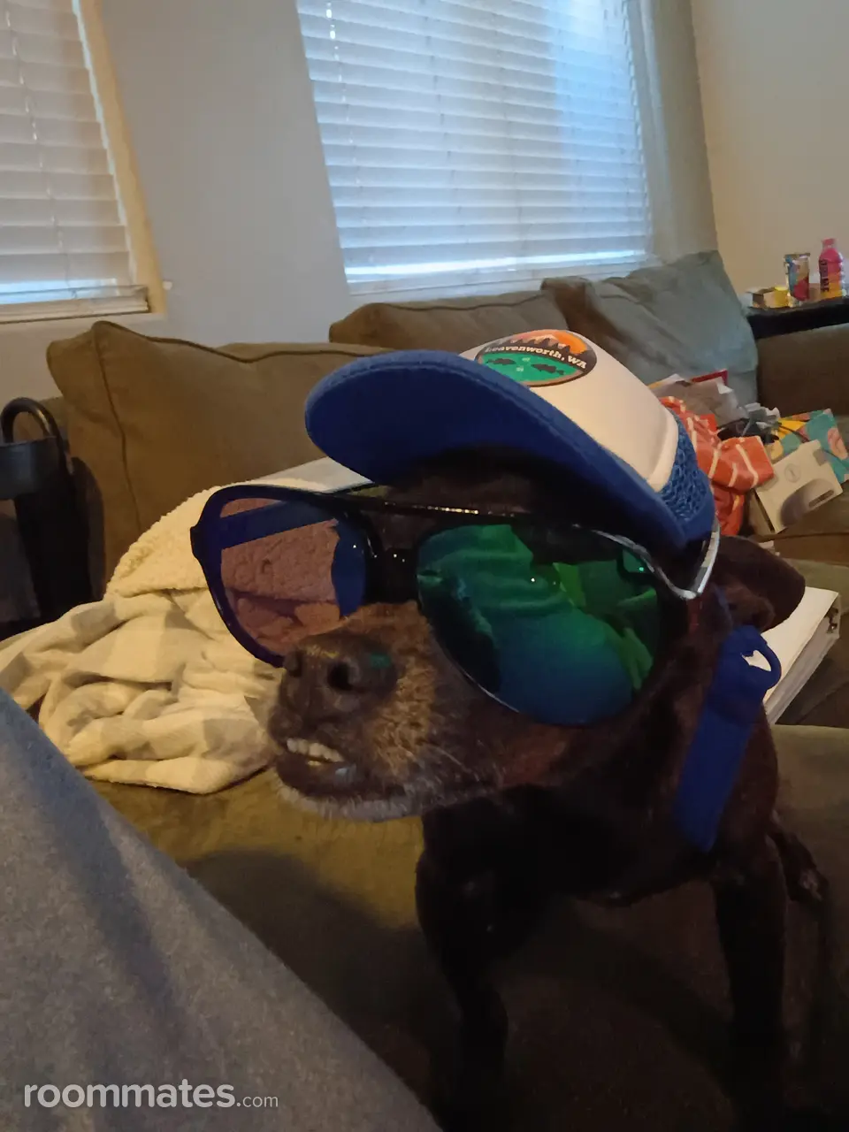 Profile photo 3 of 5