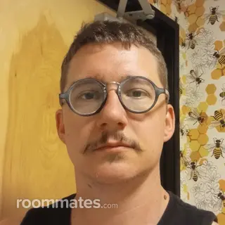 Roommate looking Lincoln, CA, $900