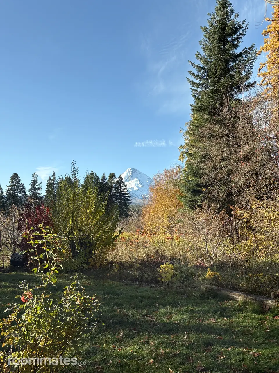 Profile photo 5 of 5