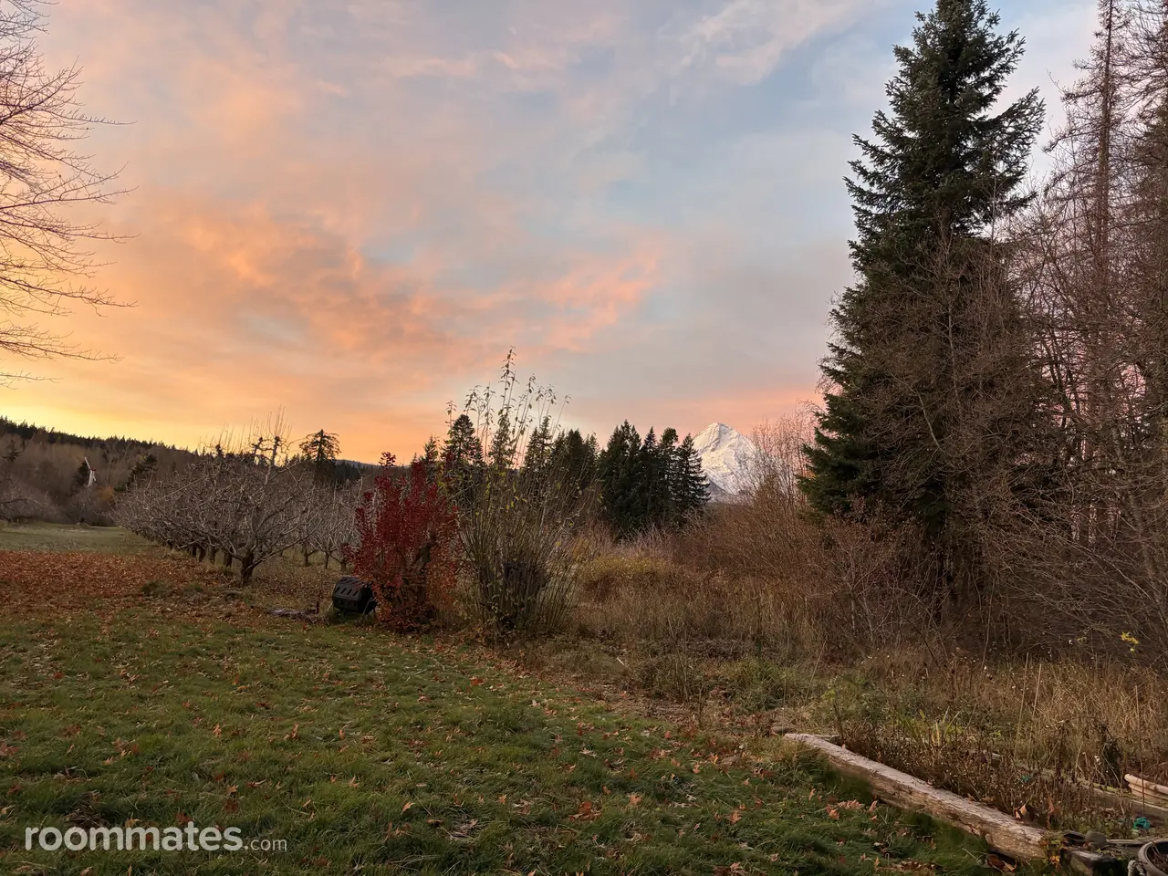 Profile photo 2 of 5