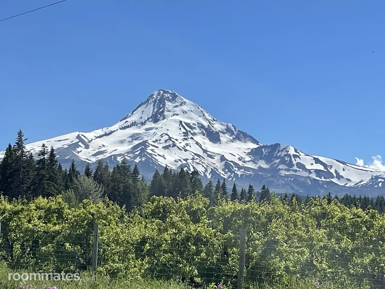 Profile photo 3 of 5