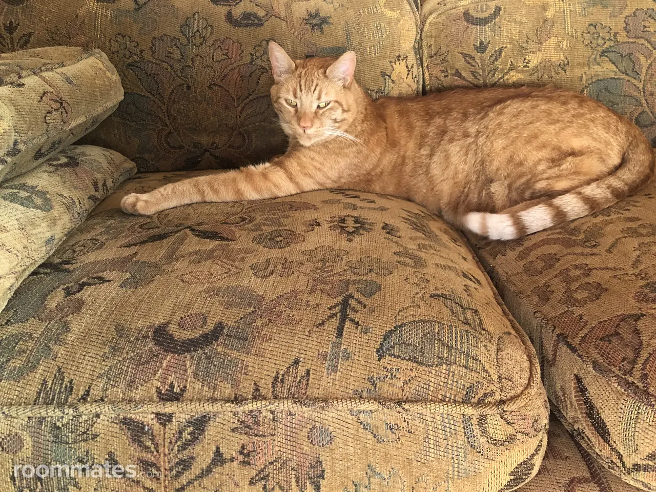 Profile photo 4 of 5