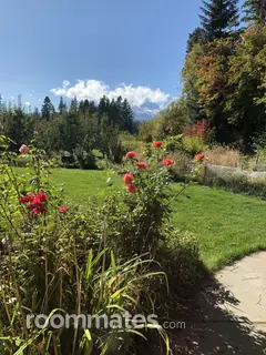 Room for rent in Mount Hood Parkdale, OR $700, house