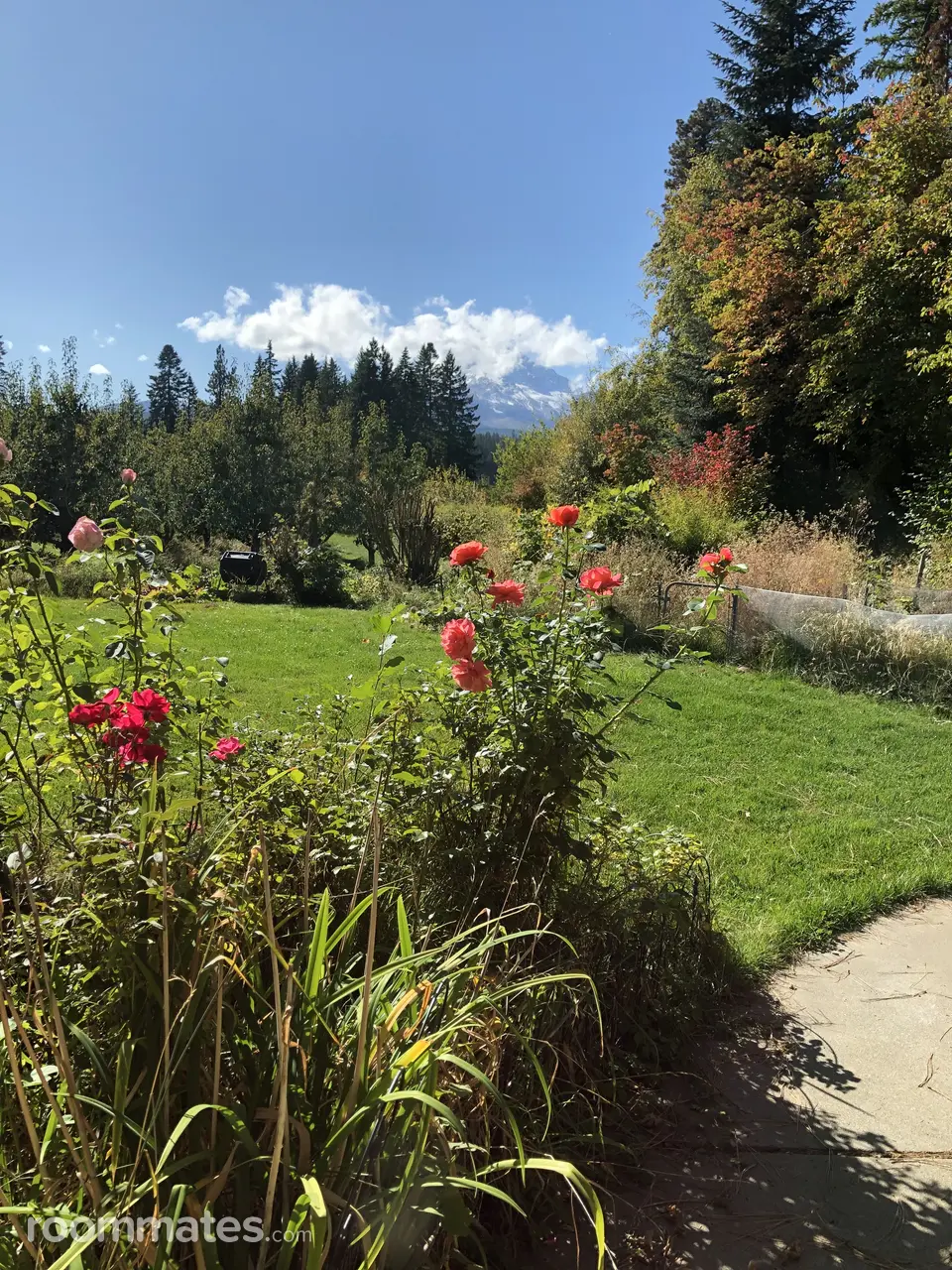 Profile photo 1 of 5