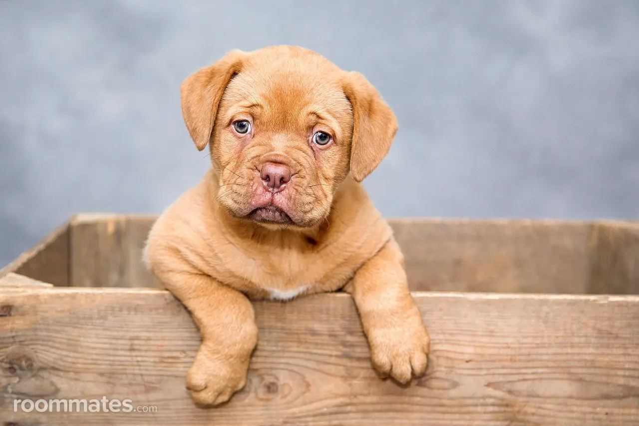 Profile photo 1 of 1