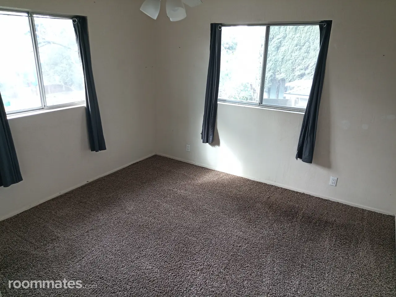 Profile photo 5 of 7