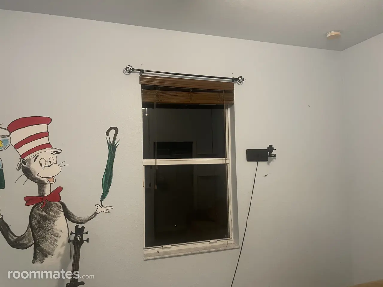 Profile photo 1 of 11