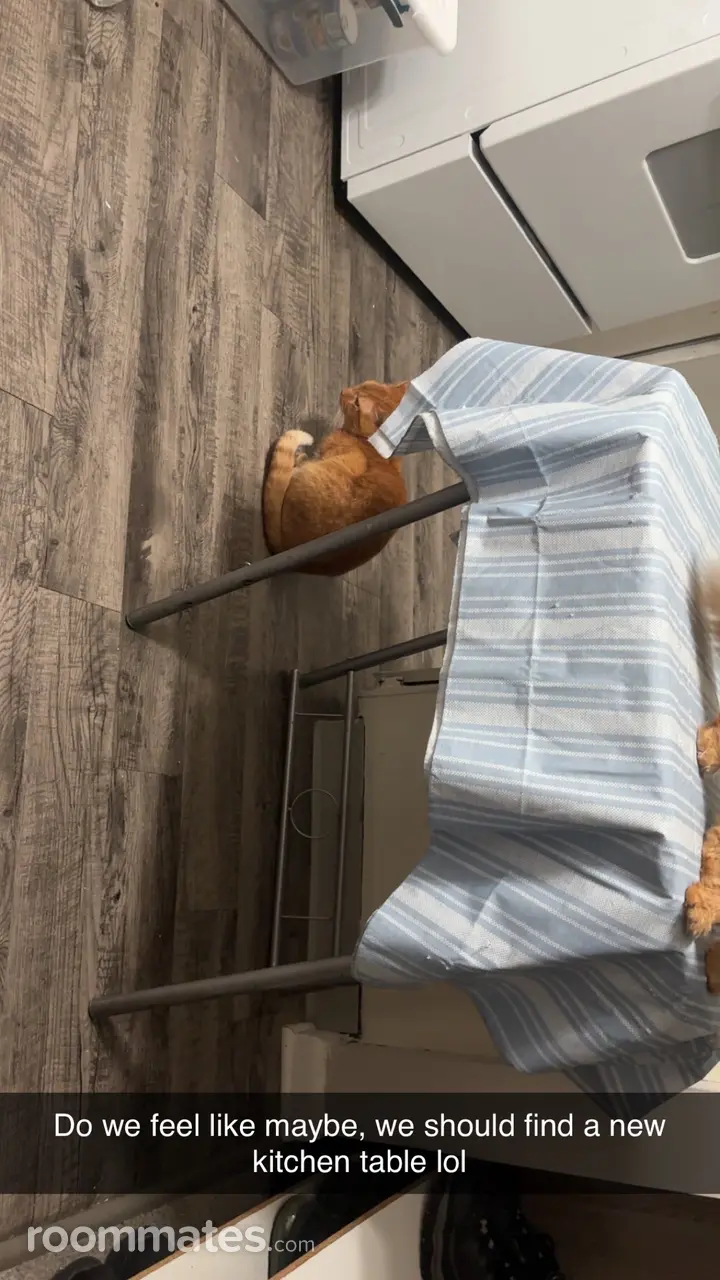 Profile photo 5 of 6