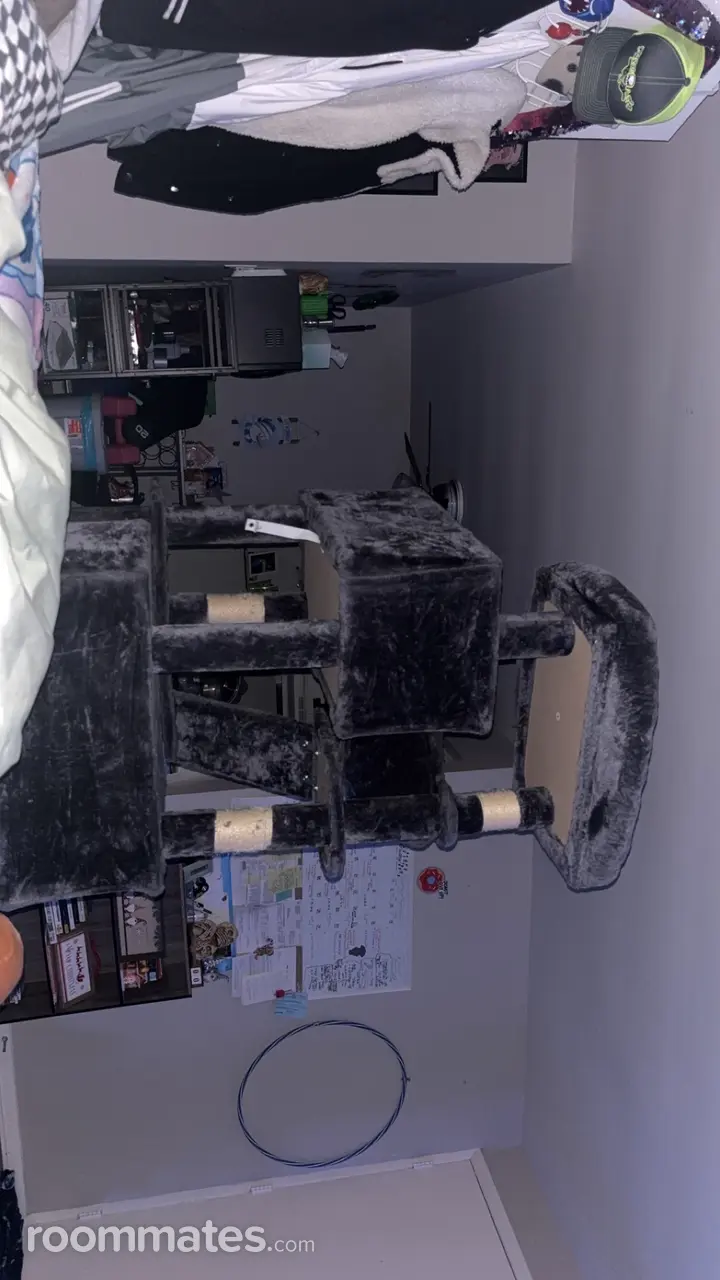 Profile photo 1 of 6