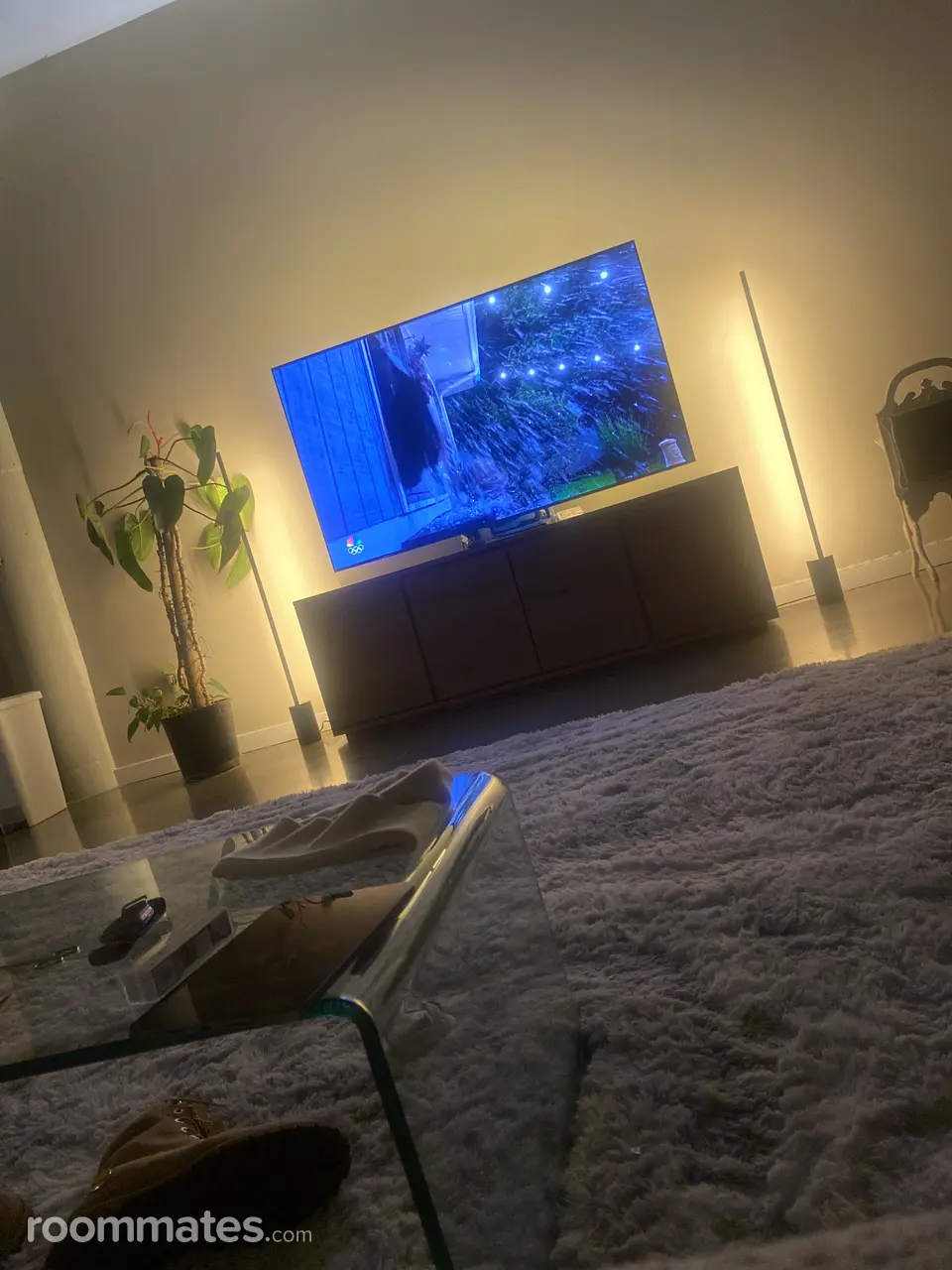 Profile photo 1 of 3