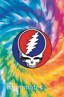 Roommate looking Rockford, IL, $500