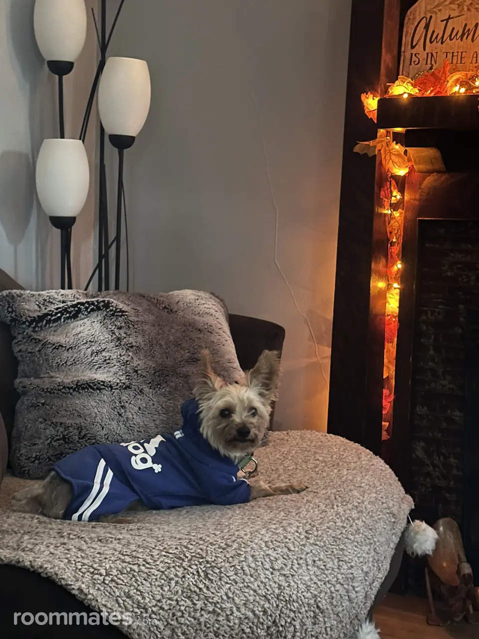 Profile photo 15 of 18