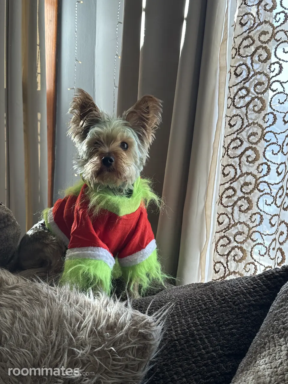 Profile photo 16 of 18