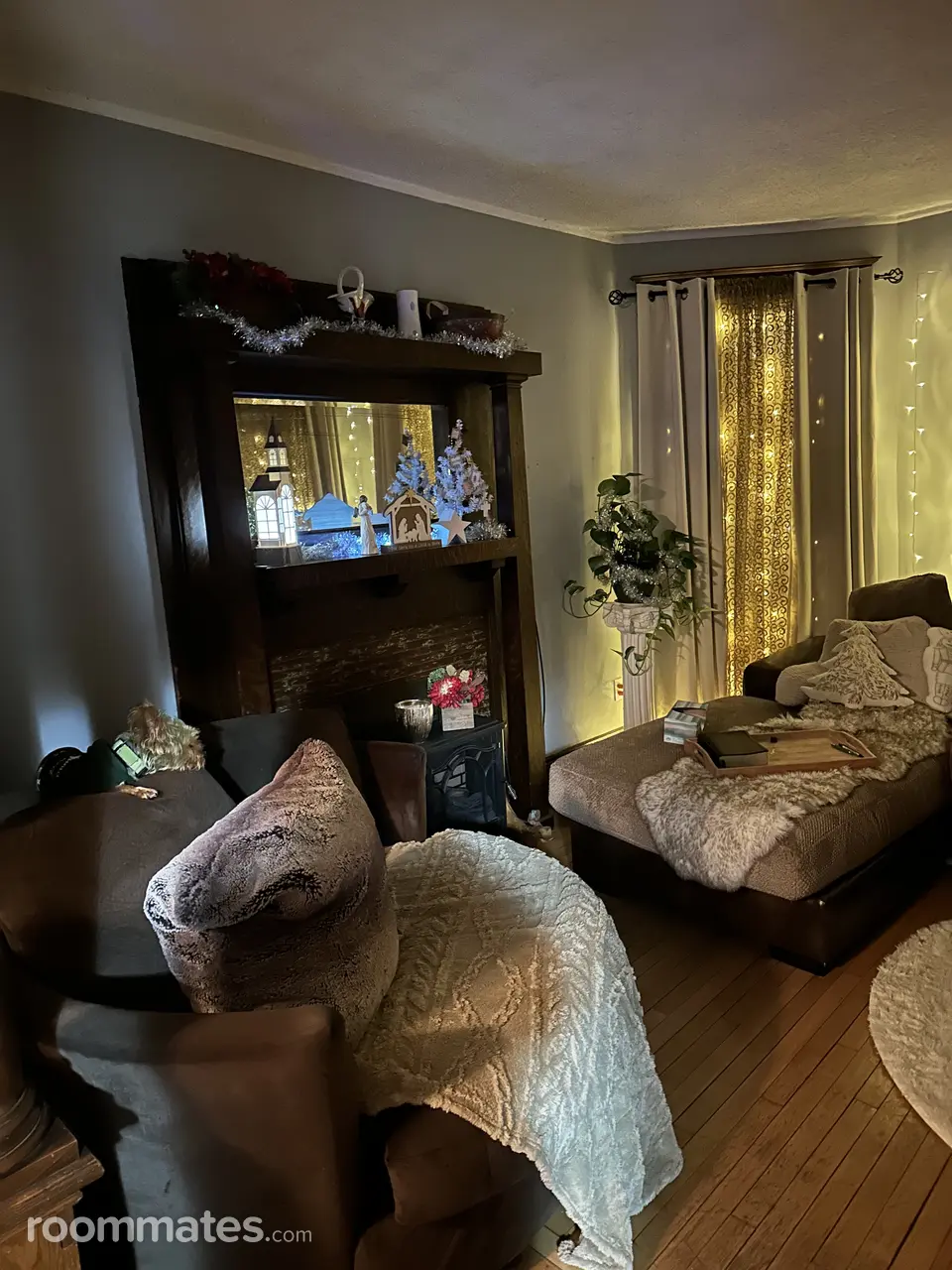 Profile photo 12 of 18