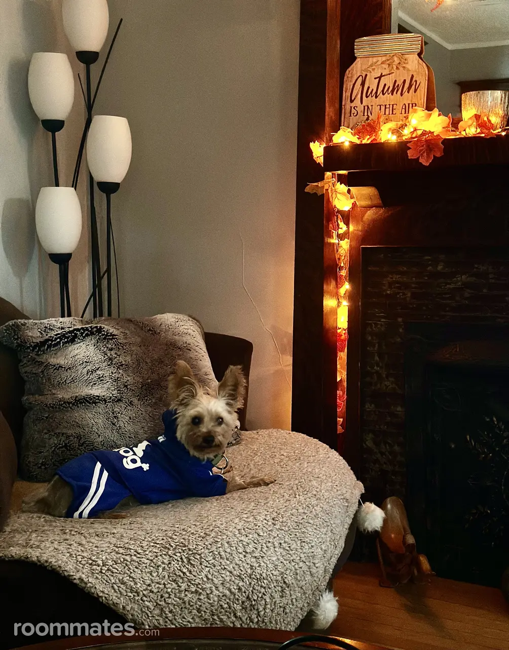 Profile photo 4 of 18