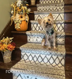 Room for rent in Rensselaer NY $875, apartment