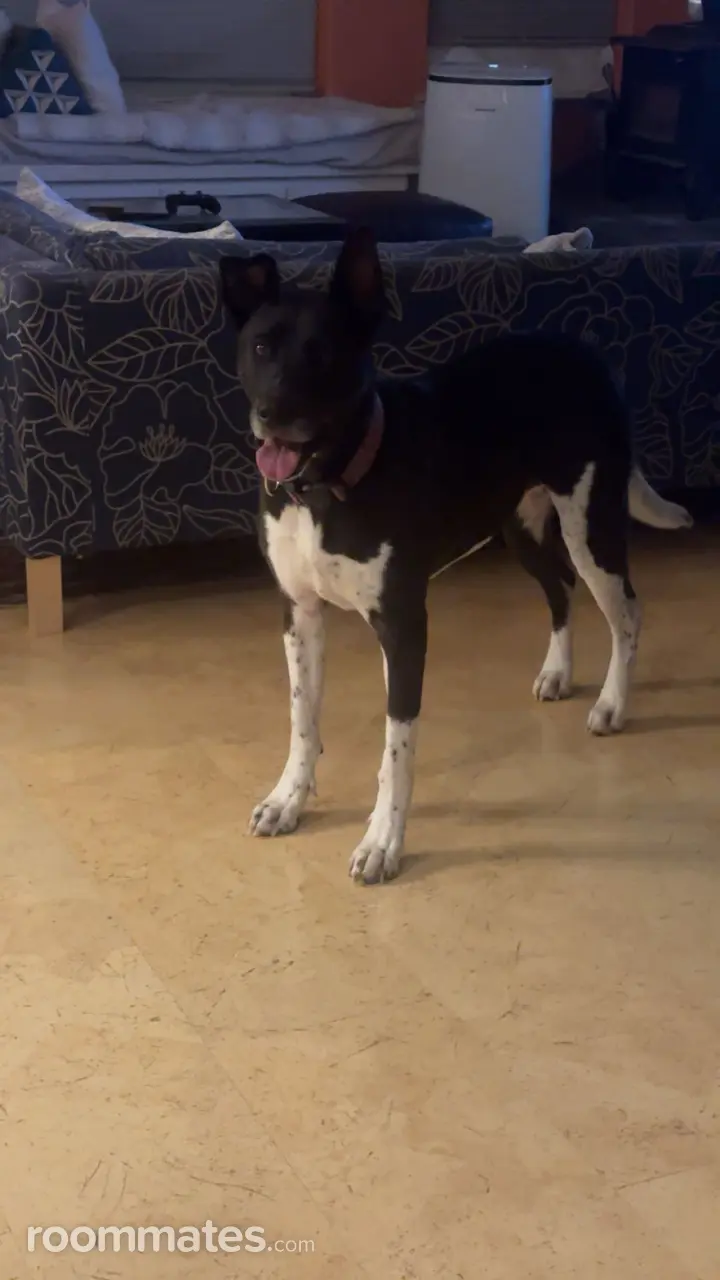 Profile photo 6 of 9