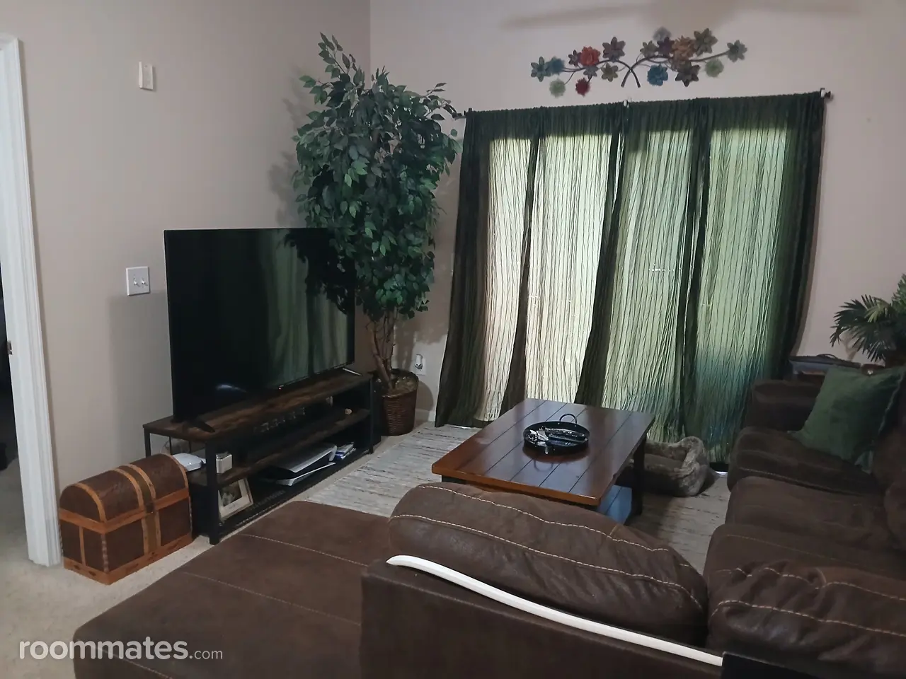 Profile photo 10 of 12