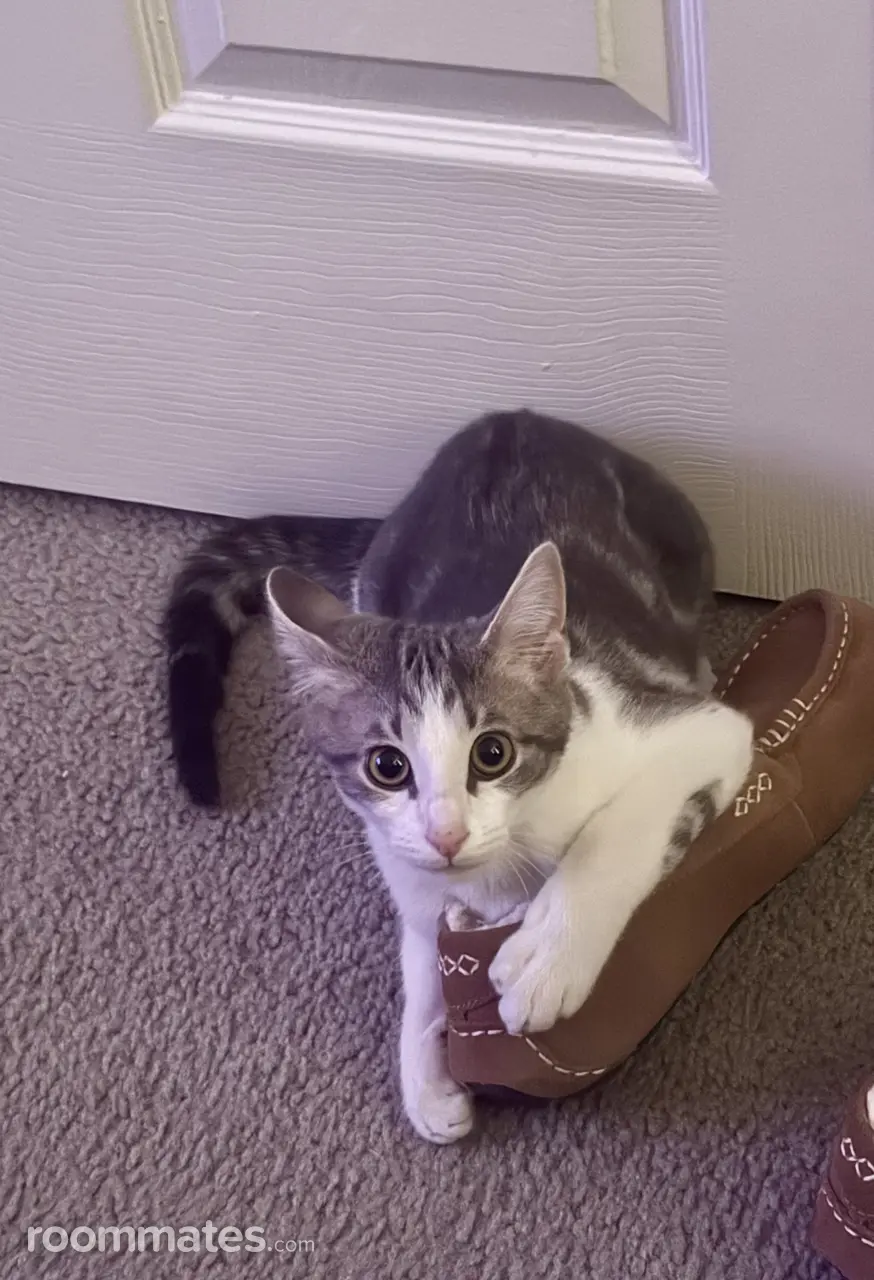 Profile photo 2 of 2