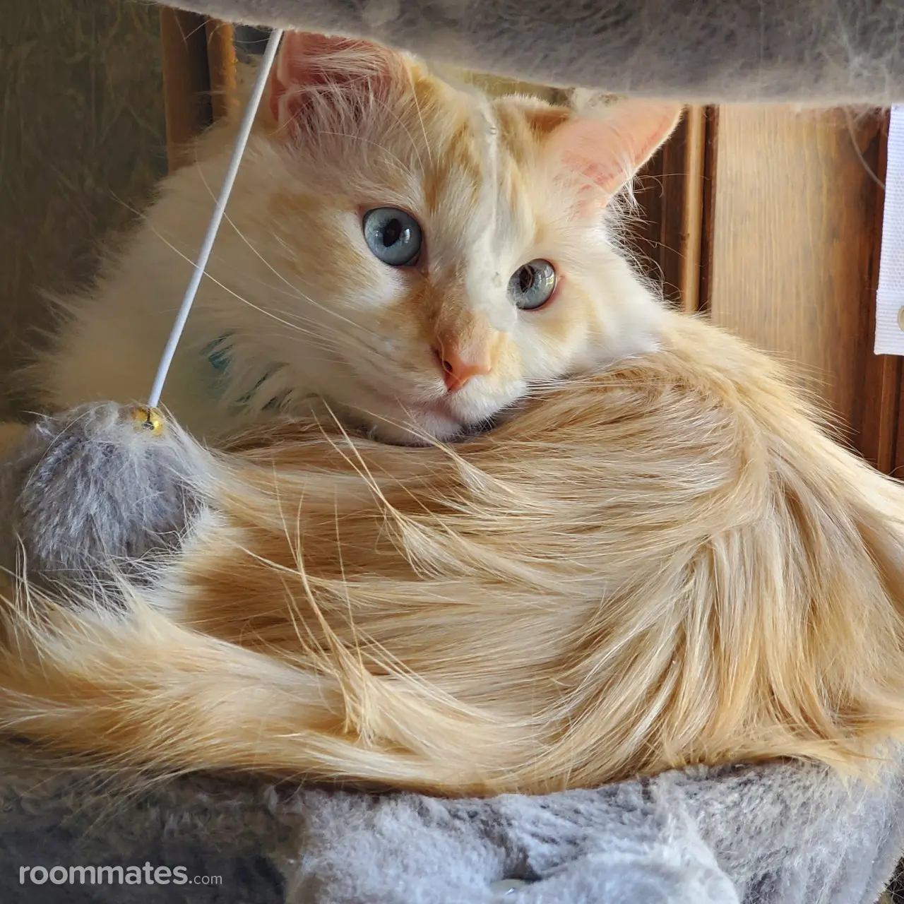 Profile photo 3 of 5