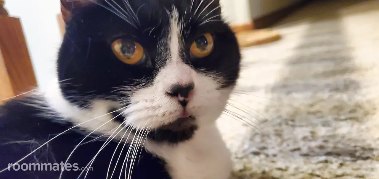 Profile photo 2 of 5