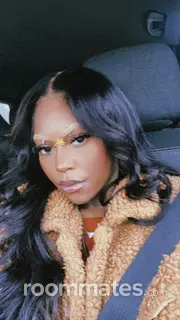 Roommate looking Pontiac, MI, $500