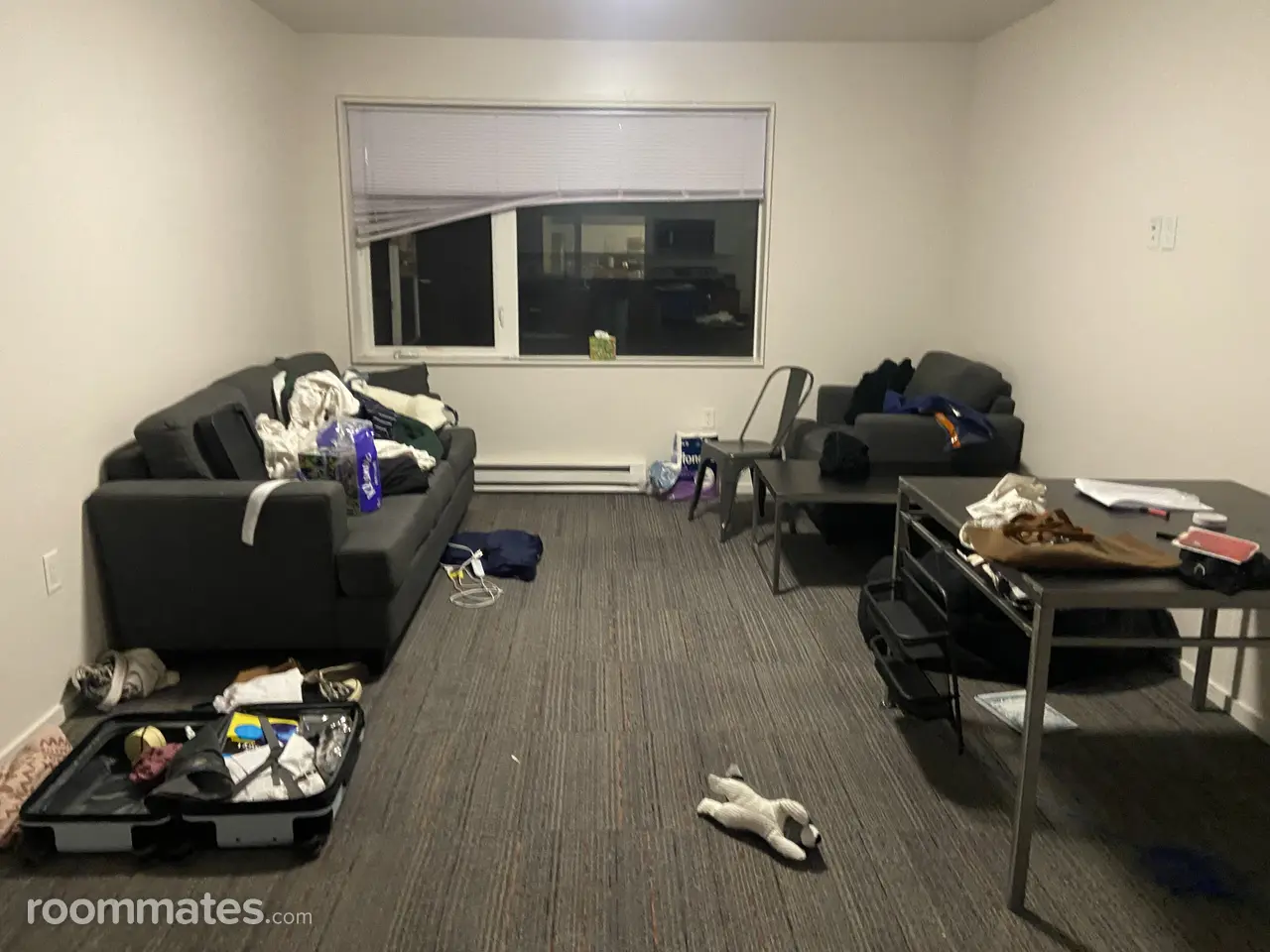 Profile photo 8 of 9