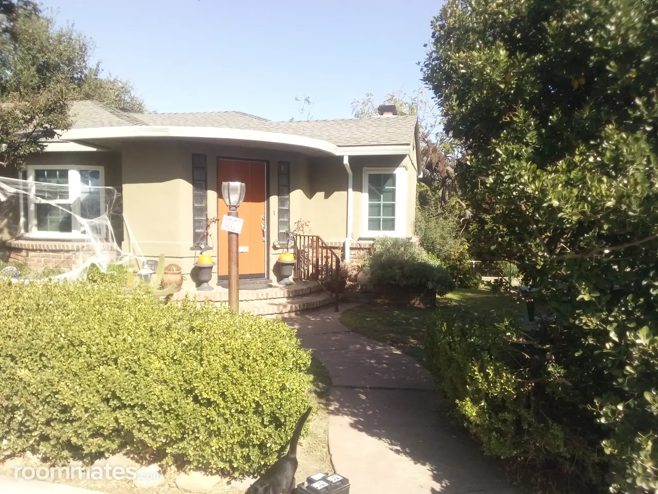 Profile photo 1 of 3