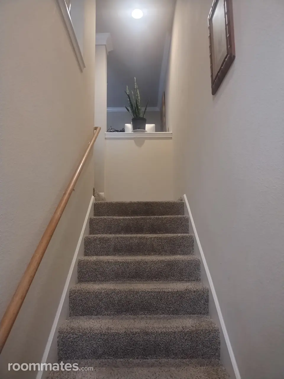 Profile photo 2 of 6