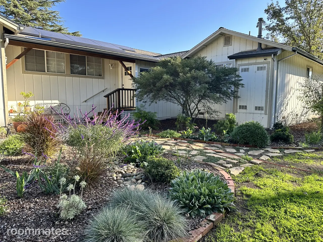 Profile photo 1 of 11