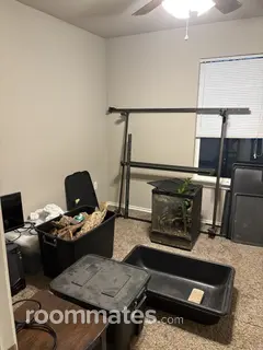 Room for rent in McKinney, TX $700, other