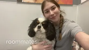 Roommate looking Rocklin, CA, $700