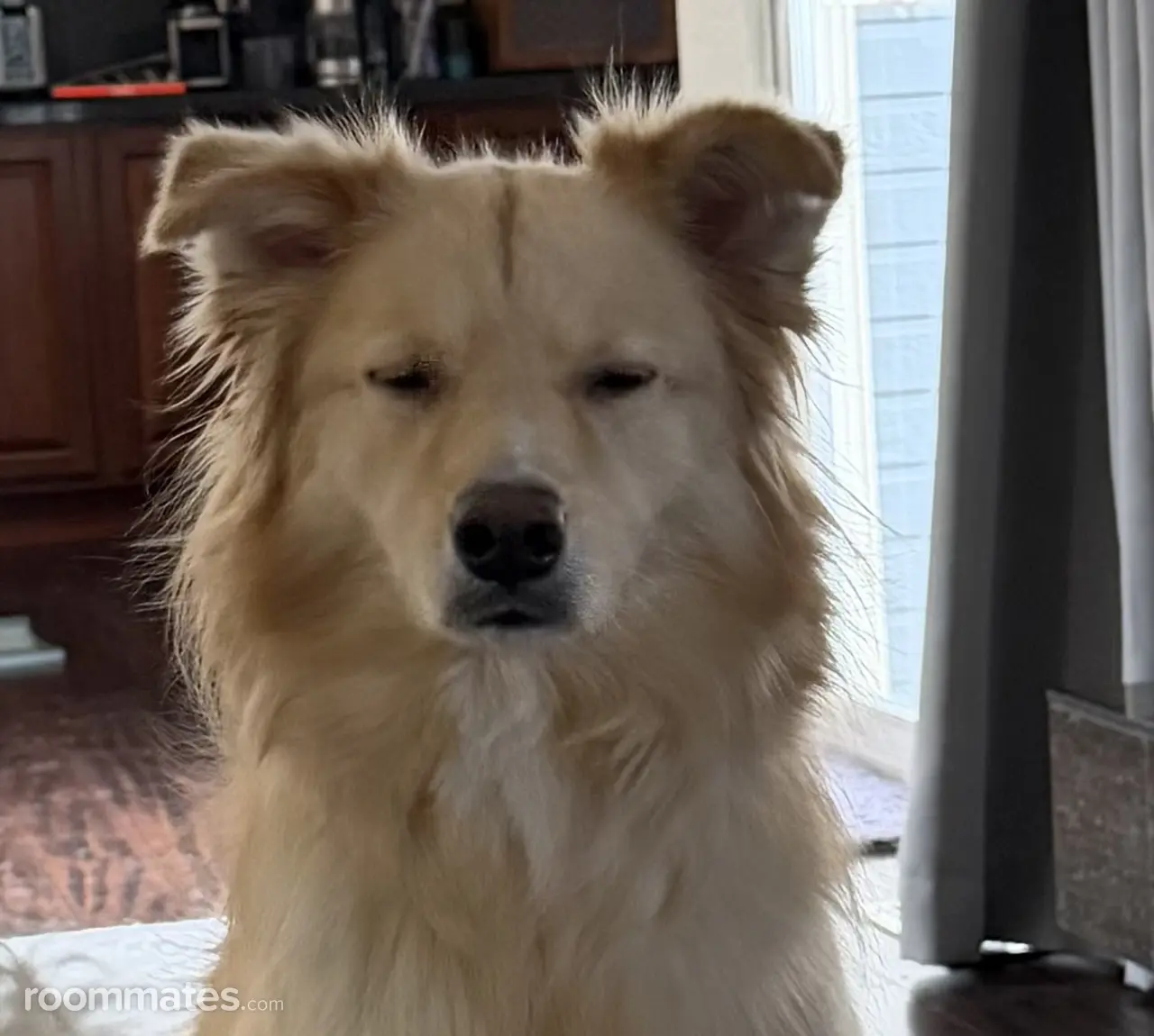 Profile photo 8 of 8