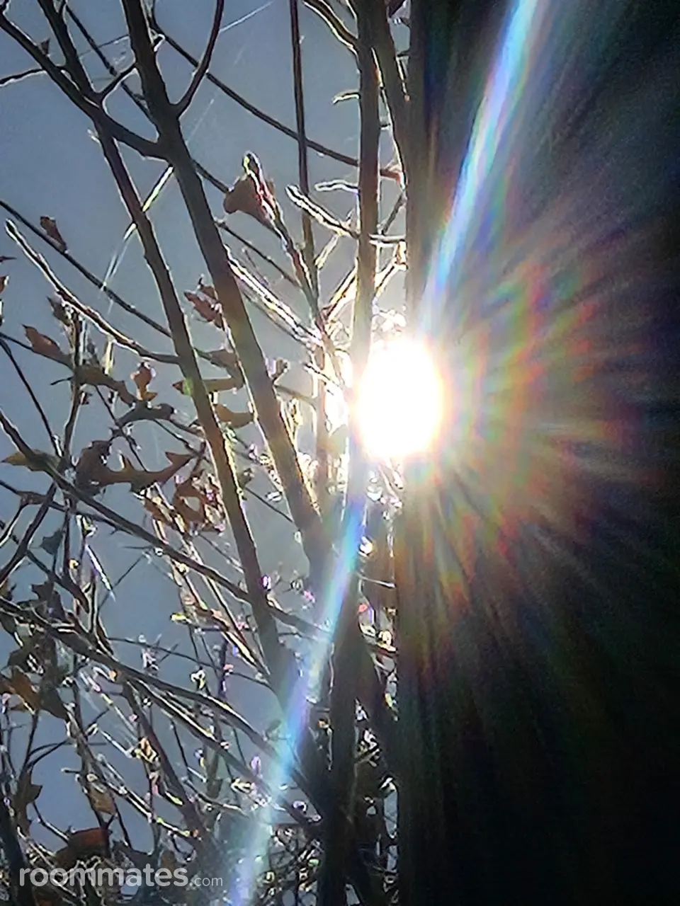 Profile photo 2 of 5