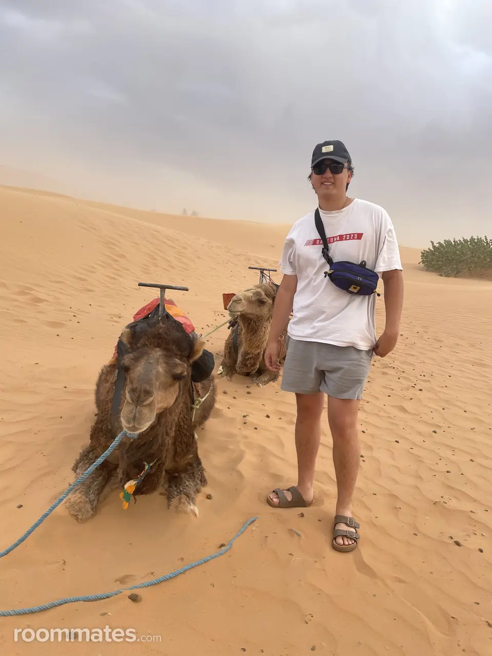 Profile photo 11 of 11