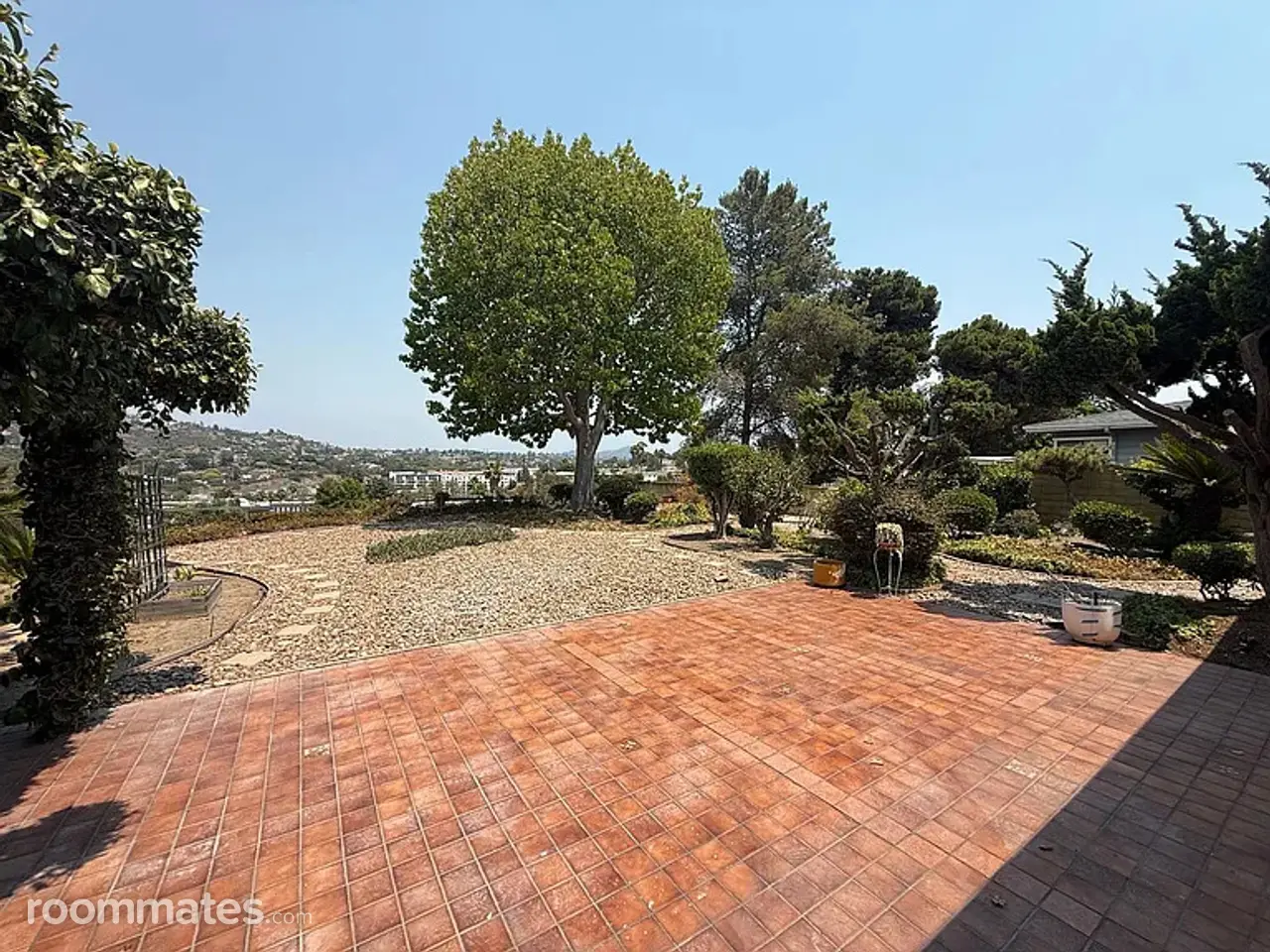 Profile photo 5 of 11