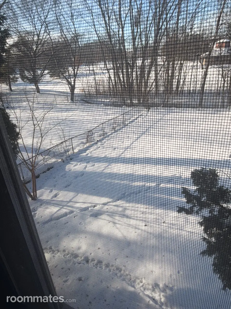 Profile photo 1 of 2