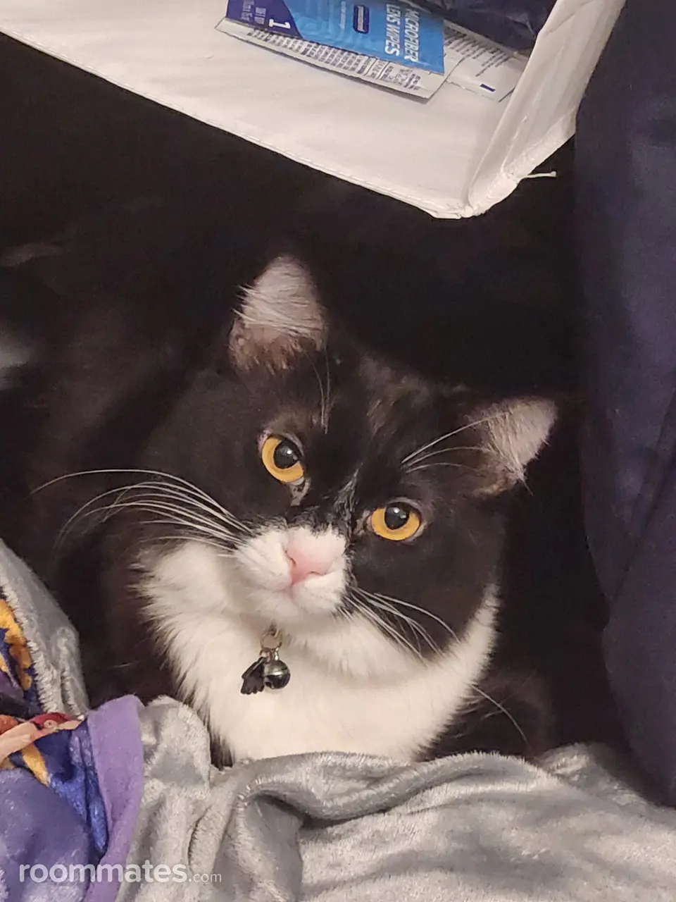 Profile photo 4 of 7